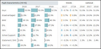 Example Report