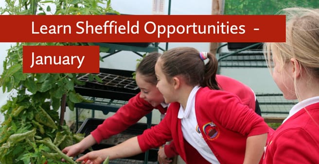 Learn Sheffield Opportunities Bulletin